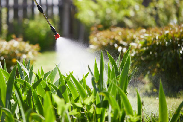 Tamper-Resistant Bait Stations for Rodents in Phoenixville