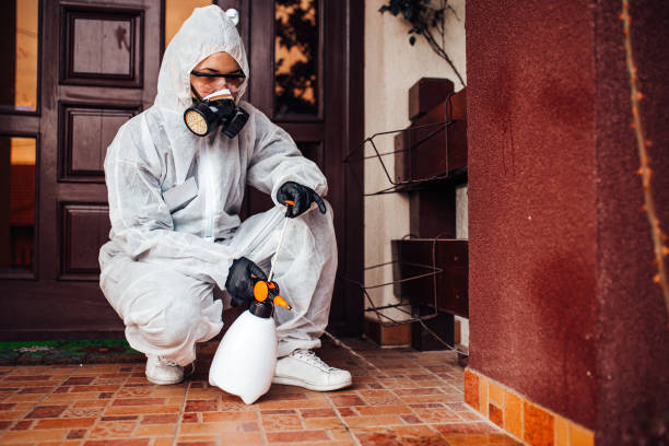 Attic and Crawl Space Rodent Treatment in Phoenixville