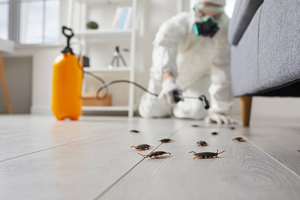 Commercial Rodent Management in Phoenixville